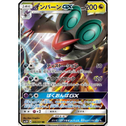 Bruyverne GX sm3H 040/051 JP