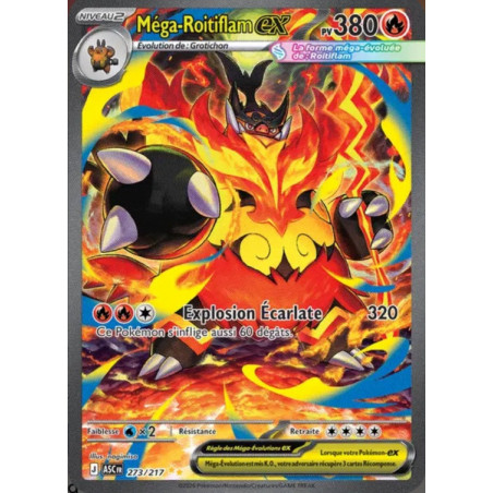 Mega Roitiflam ex 273/217 FR