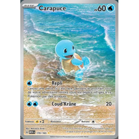 Carapuce 170/165 FR