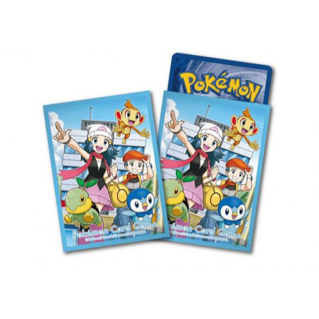 Sleeve Dresseurs de Sinnoh