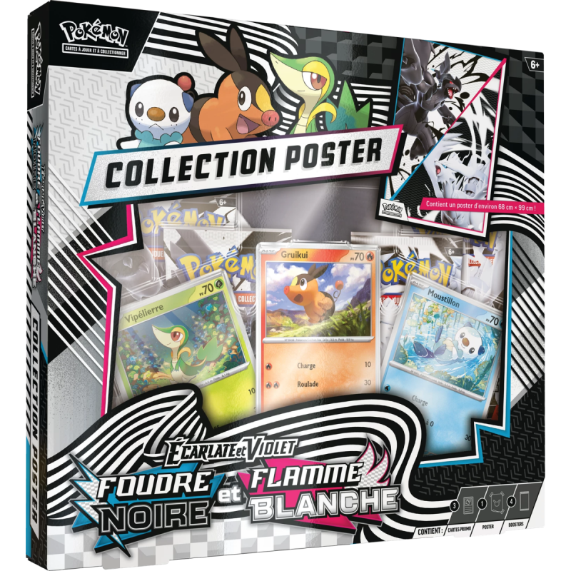Coffret Collection Poster Foudre Noire & Flamme Blanche FR