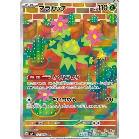 Maracachi sv9 101/100 JP