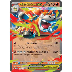 Méga-Camérupt ex MEG 022/132 FR