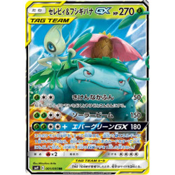 Celebi et Florizarre GX sm9 060/095 JP