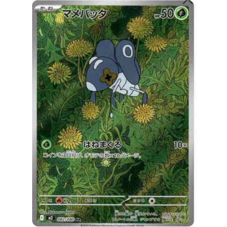 Lilliterelle m2 082/080 JP