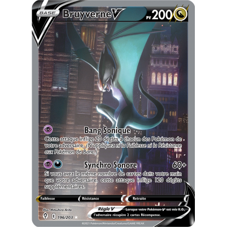 Bruyverne V 196/203 FR