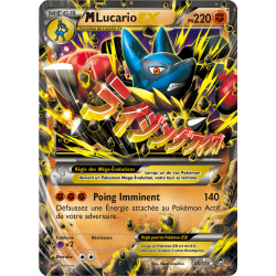 M Lucario EX 55/111 FR