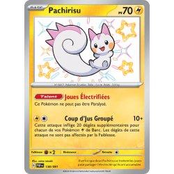 Pachirisu 138/091 FR
