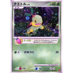 Tortipouss Lv.9 PPP-P 001 JP