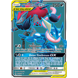 Amphinobi et Zoroark GX 200/214 FR