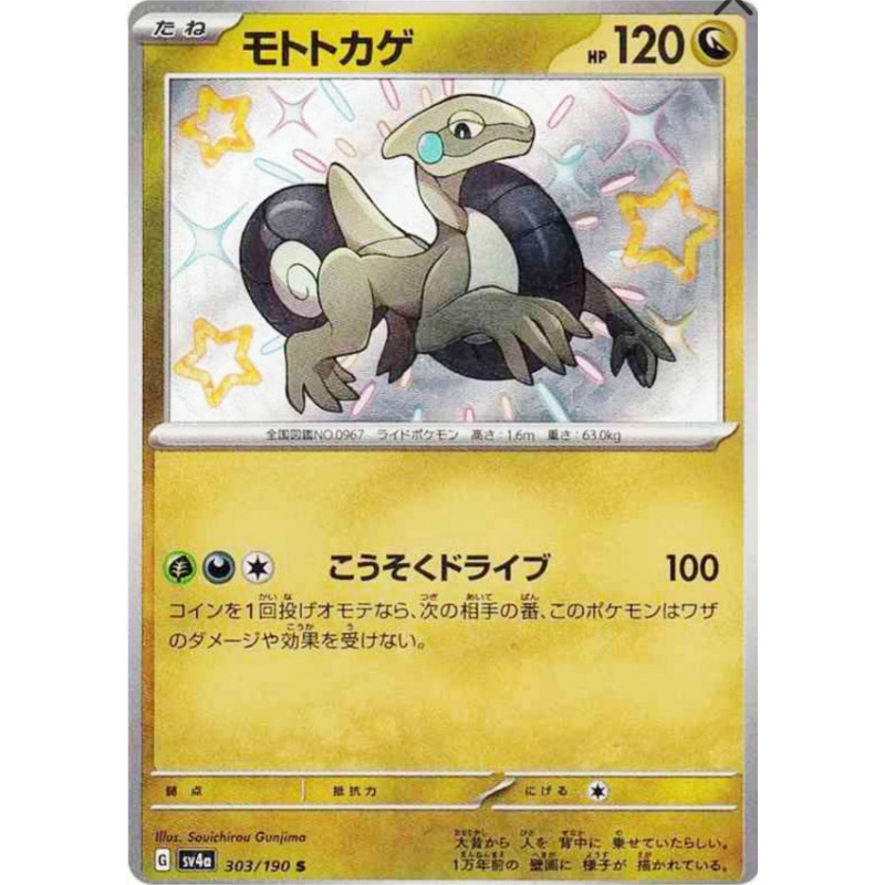 Motorizard Sv4a 303/190 JP