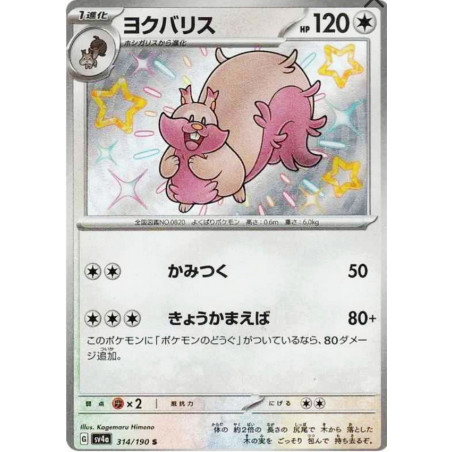 Rongrigou Sv4a 314/190 JP