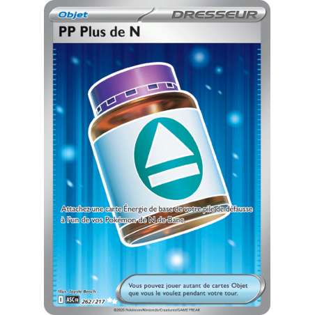 PP Plus de N 262/217 FR