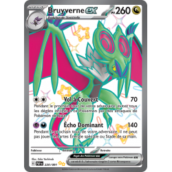 Bruyverne ex 220/091 FR