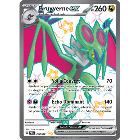 Bruyverne ex 220/091 FR