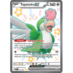 Tapatoès ex 223/091 FR