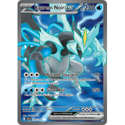 Kyurem Noir ex 218/191 FR