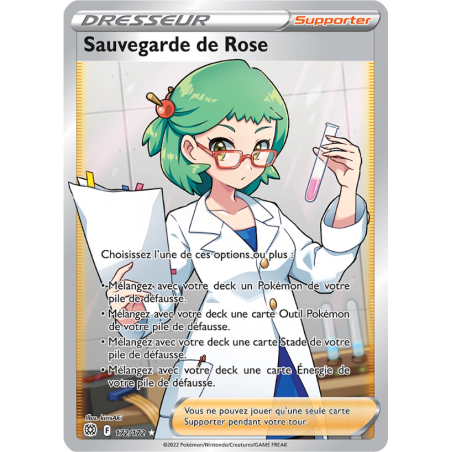 Sauvegarde de Rose 172/172 FR