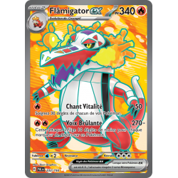 Flâmigator ex 233/193 FR