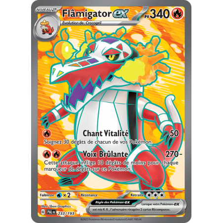 Flâmigator ex 233/193 FR