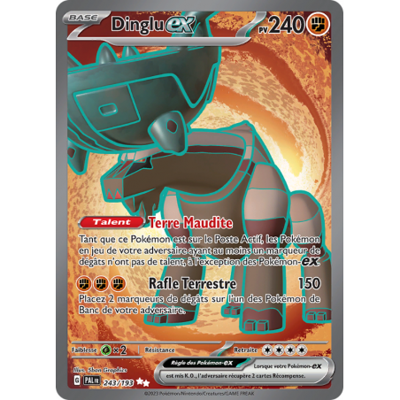 Dinglu ex 243/193 FR
