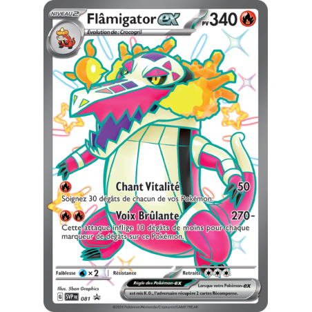 Flâmigator ex SVP 081 FR