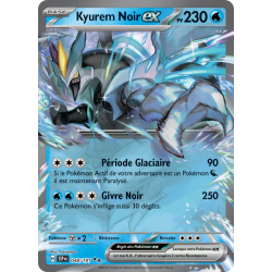 Kyurem Noir Ex 048/191 FR