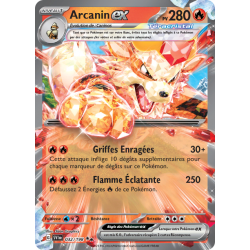 Arcanin Ex 032/198 FR