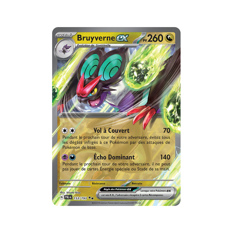 Bruyverne Ex 153/193 FR