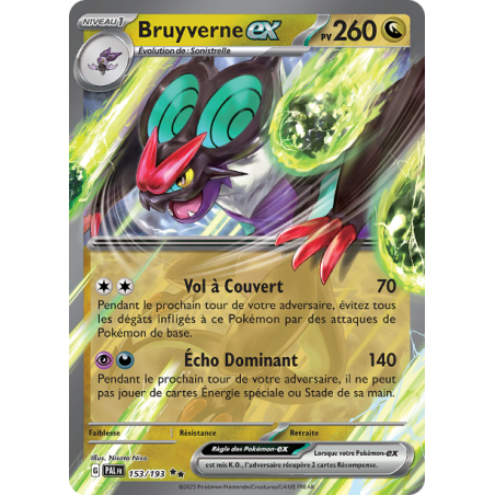 Bruyverne Ex 153/193 FR