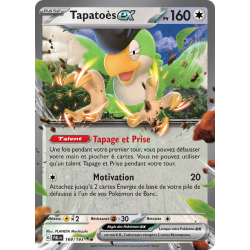 Tapatoès Ex 169/193 FR