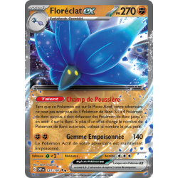Floréclat Ex 123/197 FR