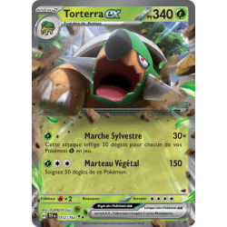 Torterra Ex 012/162 FR