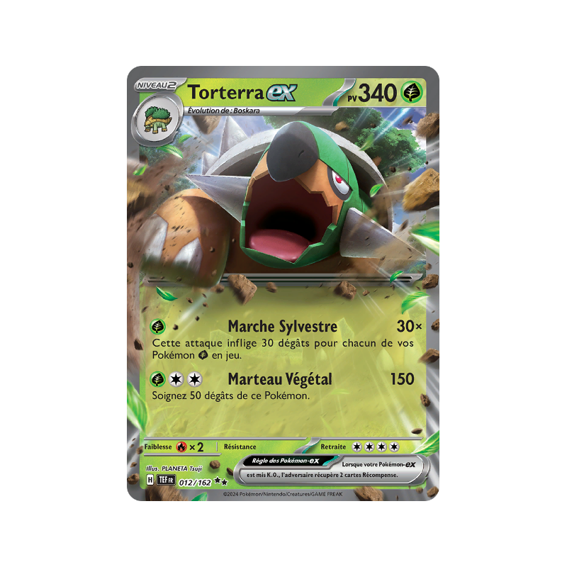 Torterra Ex 012/162 FR