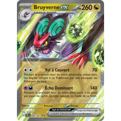 Bruyverne Ex 069/091 FR