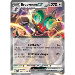 Bruyverne Ex 091/131 FR