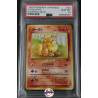 Caninos no 26 JP PSA 10
