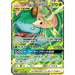 Florizarre et Vipélierre GX sm11a 001/064 JP
