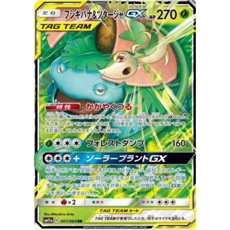 Florizarre et Vipélierre GX sm11a 001/064 JP